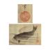 Tiger and bamboo (<i>take no tora</i> 竹の虎)