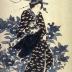 Aizuri-e - a <i>bijin</i> stands before a large plant of chrysanthemums from the series <i>Beauties of the Latest Fashion Compared with the Beauty of Flowers</i> (Tōsei bijin hana-awase - 當世美人花合)